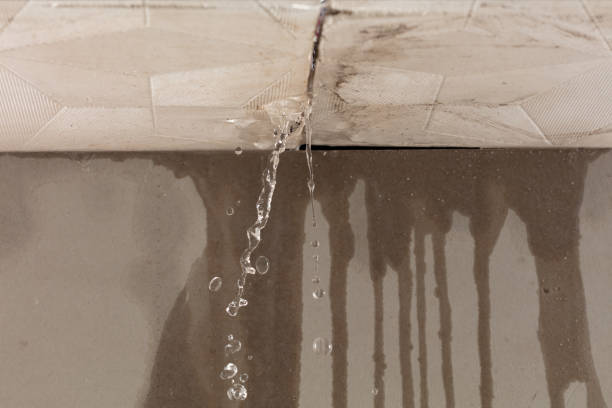 Professional Water Damage Repair technician working in Armada, MI